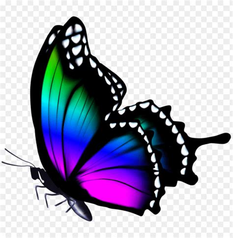 Download colorful butterfly clipart png photo | TOPpng