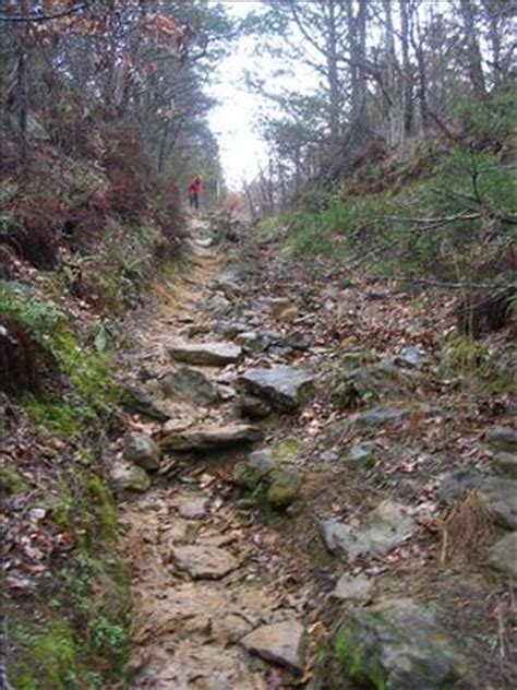 Cross Timbers Trail Run - February 21, 2015