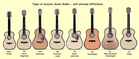 12 String Acoustic Guitar, Acoustic Guitar Lessons, Guitar Tips, Guitar ...