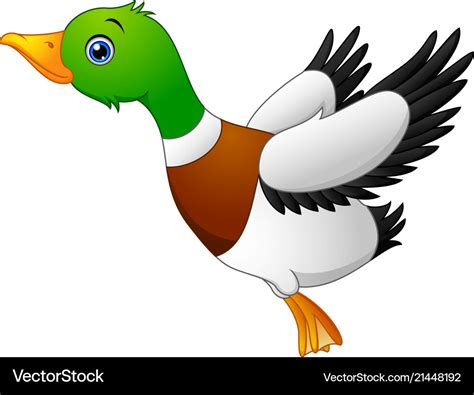 Ssurvivor: Cartoon Mallard Duck Drawing