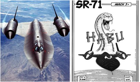 Exclusive: The Story of how Iconic SR-71 Blackbird’s Habu Logo was Conceived - The Aviation Geek ...