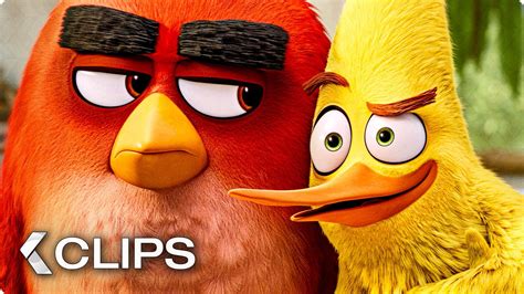 The angry birds movie 2 trailer - purehost