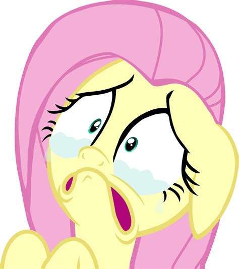 Fluttershy Is Going To Cry by MSlash67-Production on DeviantArt