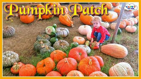 PUMPKIN PATCH Games & Activities For Kids - YouTube