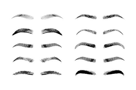 Eyebrow shapes. Various types of eyebrows (With images) | Eyebrow ...