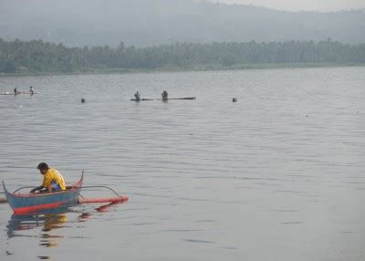 Fish Kill in Taal Lake - Topics on Earth