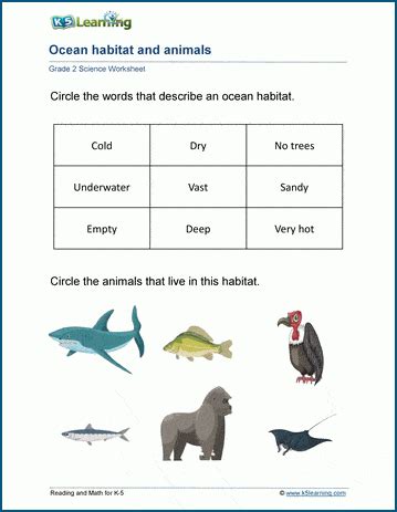 Habitat Worksheet For Grade 1