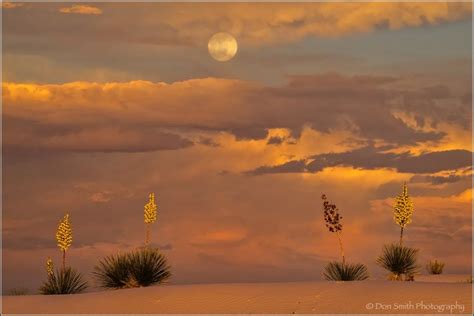 White Sands National Monument Image Gallery | Nature's Best :: by Don Smith