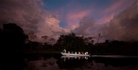 Nocturnal Animals Found In The Amazon Rainforest - Rainforest Cruises