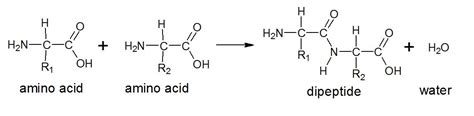 Organic Compounds | Call Me Dr Rob