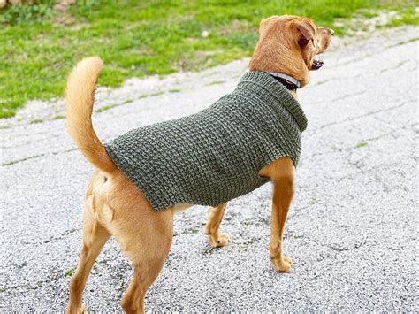 Free Dog Sweater Knitting Pattern (Straight Needles) - Handy Little Me