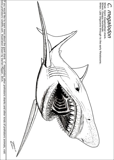 Megalodon Coloring Coloring Pages