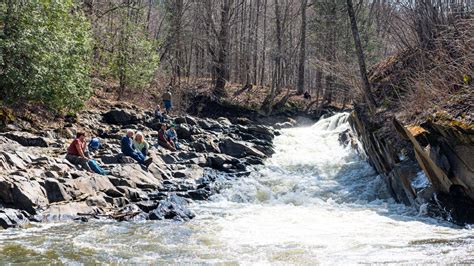 Willoughby Falls hosts spectacular steelhead trout migration, community ...