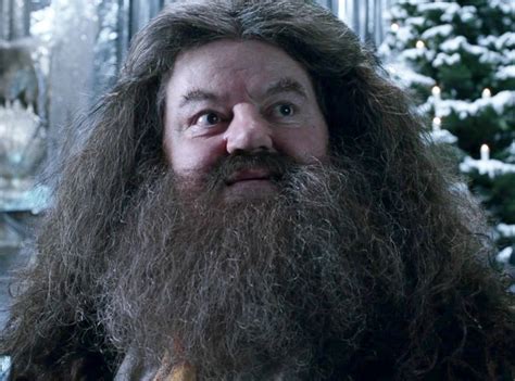 Hagrid Hospitalized! Harry Potter Actor Robbie Coltrane Taken to Orlando Hospital After Falling ...