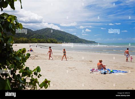 Cape Tribulation beach, Australia, Queensland Stock Photo - Alamy