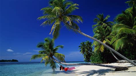 Girl relaxing in a hammock on a sandy beach wallpaper - Beach ...