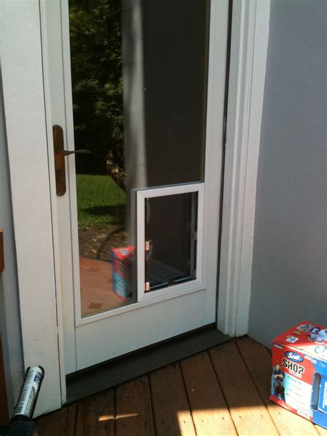 Door with built in dog door - must have for dog owners | Home Design Ideas