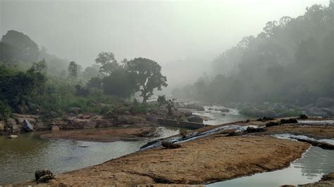 Araku Valley - History, Things to Do, Location, Best Time to Visit | Adotrip