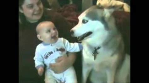 Babies Laughing at Dogs