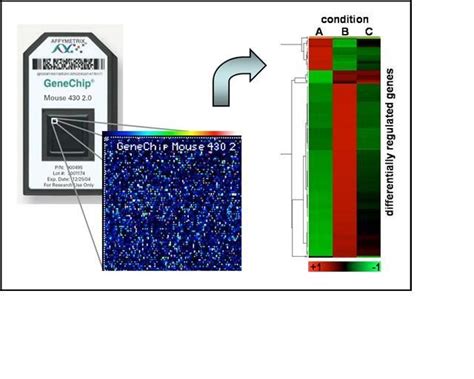 RCF | GeneChip Microarray System