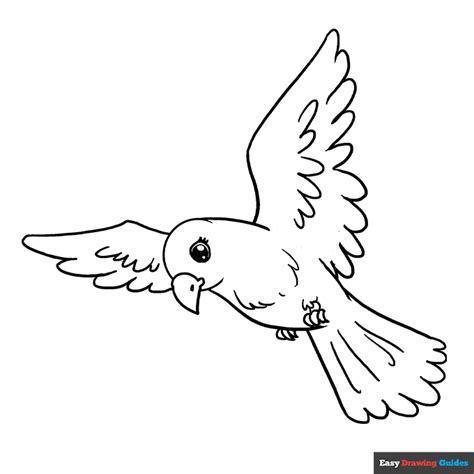 Free Printable Bird Coloring Pages for Kids