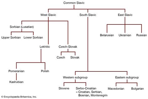 East Slavic languages | Britannica