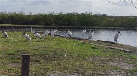 Lake Toho RV Resort | Saint Cloud, FL