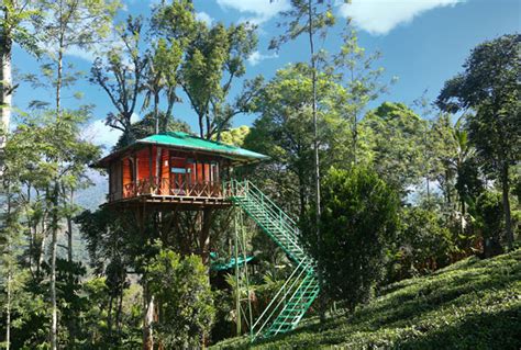 Tree House | Dream Catcher Plantation Resort – Munnar