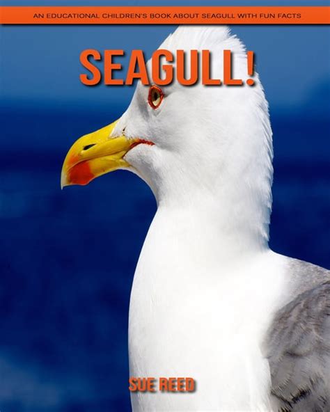 Seagull! An Educational Children's Book about Seagull with Fun Facts (Paperback) - Walmart.com ...