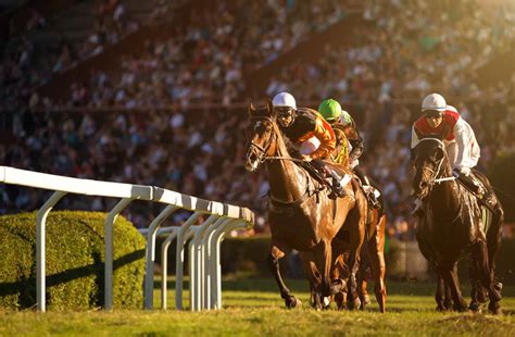 Virtual Reality Horse Racing