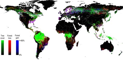 Global map of tree cover losses and gains generated from a time-series ...