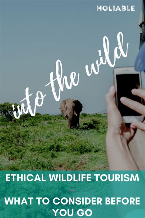 Wildlife Tourism: Good practices for ethical wildlife observation | Wildlife tourism, Tourism ...