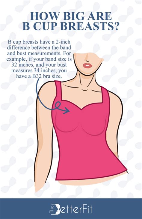 How Big Are B Cup Breasts? | TheBetterFit