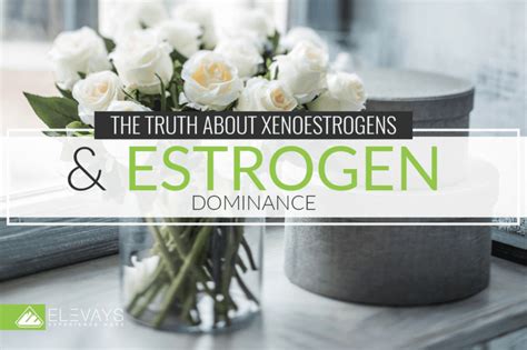 The Truth About Xenoestrogens and Estrogen Dominance | Xenoestrogens ...