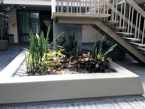 Before-Atrium-Planter - Plantscapers