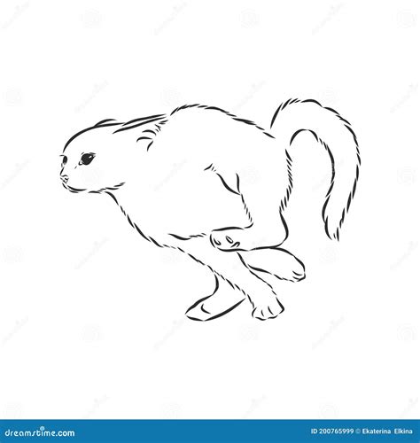 Running Cat. Vector Black Sketch Feline Illustration, Running Cat Vector Sketch Illustration ...