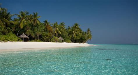 Coco Palm Dhuni Kolhu, Maldives Review | The Hotel Guru