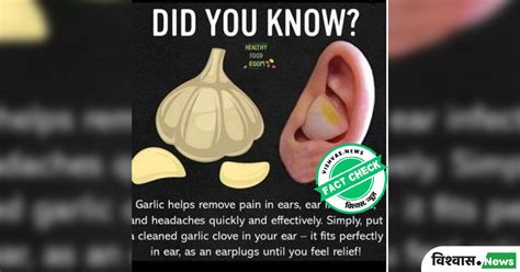 Fact Check: Do Not Use Garlic To Reduce Ear Pain And Headache; Viral ...