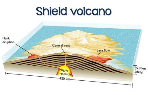 diagram of a shield volcano | volcano diagram | Shield volcano, Volcano, Diagram