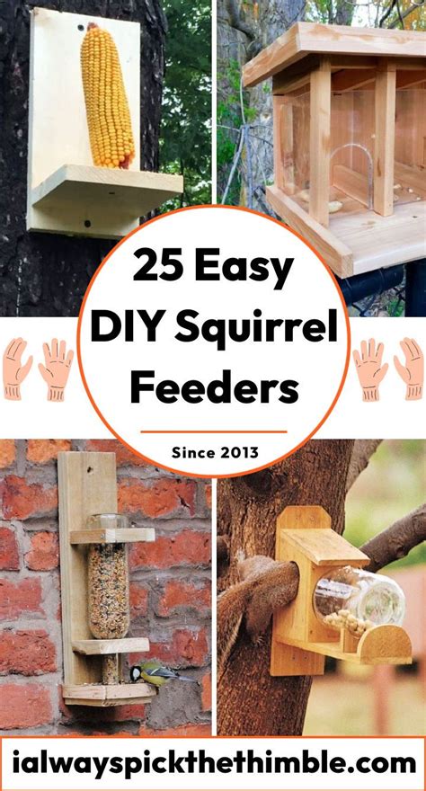 25 Free Homemade DIY Squirrel Feeder Plans