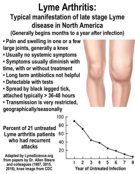 About Lyme Arthritis | LymeScience