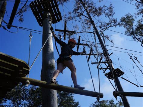 Trees Adventure Nowra Park | NSW Holidays & Accommodation, Things to Do ...