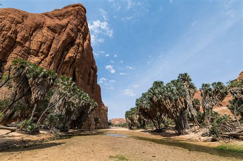 Waterhole, Ennedi Plateau, UNESCO World … – License image – 71306922 ...