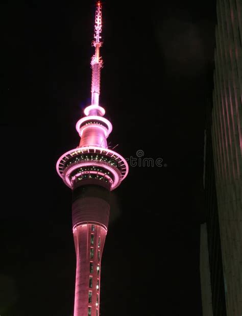 Sky Tower at night stock image. Image of colours, black - 3819639