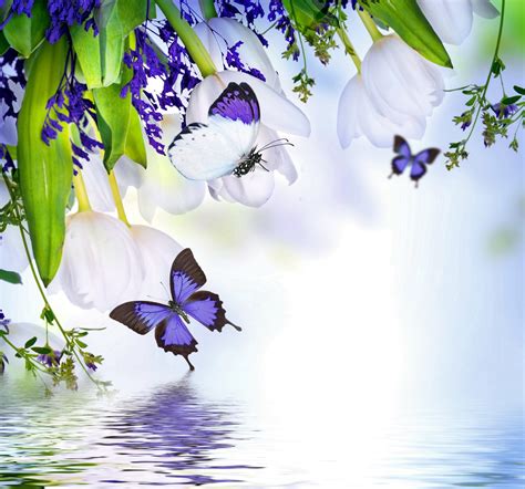 Purple Butterflies Wallpaper (58+ images)