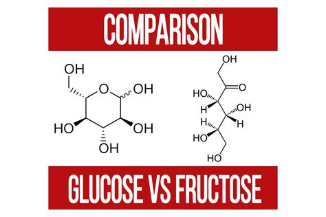 Simple Sugar Comparison: Glucose and Fructose - N1 Training