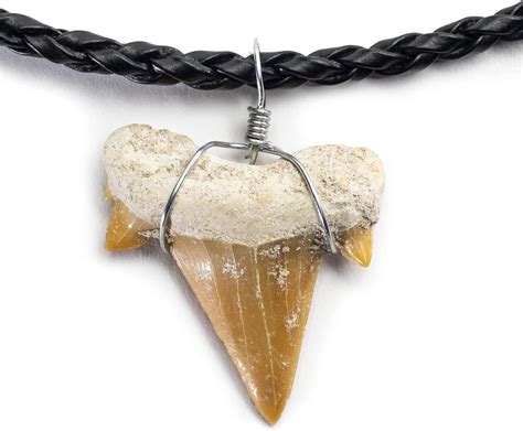 Amazon.com: KALIFANO Fossilized Shark Tooth Necklace - Authentic ...