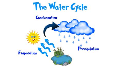 eLearning Lesson Water Cycle Video | Science | Lesson, Science lessons ...