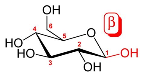 Difference Between Alpha And Beta Anomers - Relationship Between