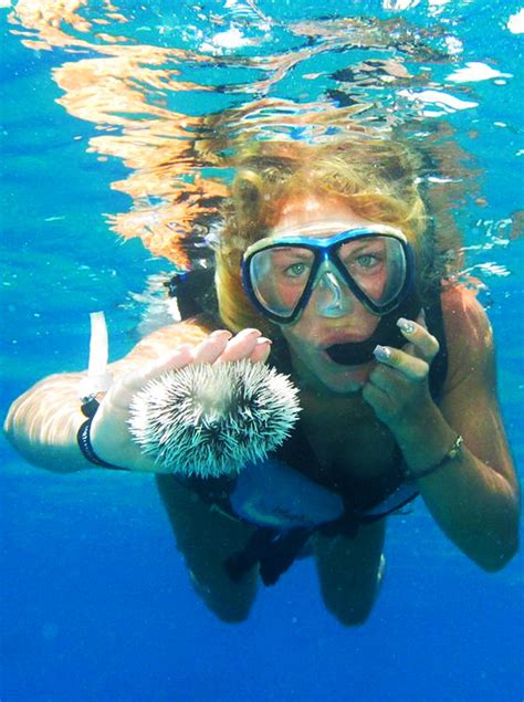 Snorkeling Fun in 2020 | Snorkeling, Tours, Fish pet